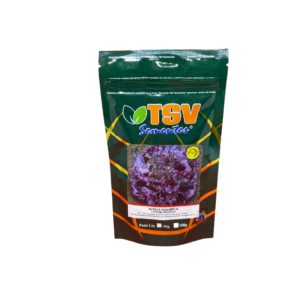 ALFACE ROSABELA PELETIZADA 5.000 SEM. - TSV - ANALISE/VENDAS