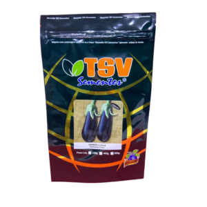 BERINJELA CHICA HIB. 10.000 - TSV