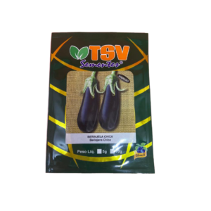 BERINJELA CHICA HIB. 1.000 SEM. - TSV