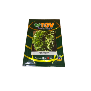 CHICORIA DAFNE CLASSE A 10GR - TSV