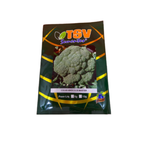 COUVE BROCOLI HIB. MASTER 2.500 SEM. - TSV