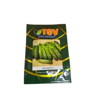 PEPINO FEISTY F1 CLASSE A  10GR - TSV