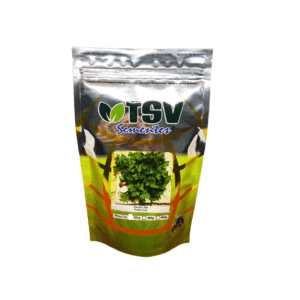 SALSA LISA 500GR - TSV