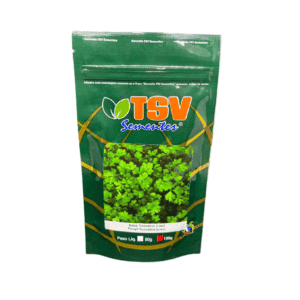 SALSA LISA TURMALINA 100GR - TSV