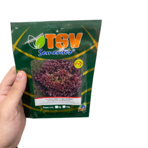 ALFACE PIRA 72 BELISSIMA PELET 1.000 SEM - TSV